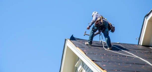 Best Storm Damage Roof Repair  in Cottonwood, AL